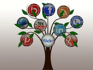 arbre des réseaux sociaux